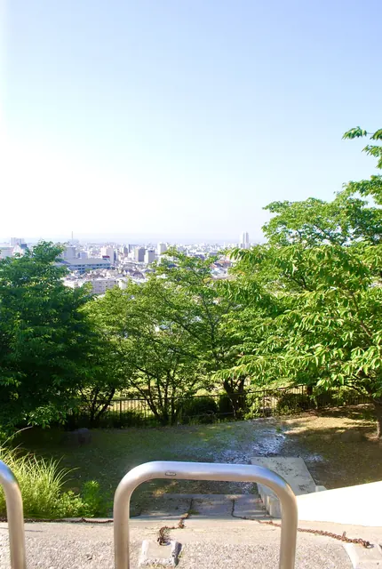 公園の手すり越しに、遠くの街並みを見下ろす風景