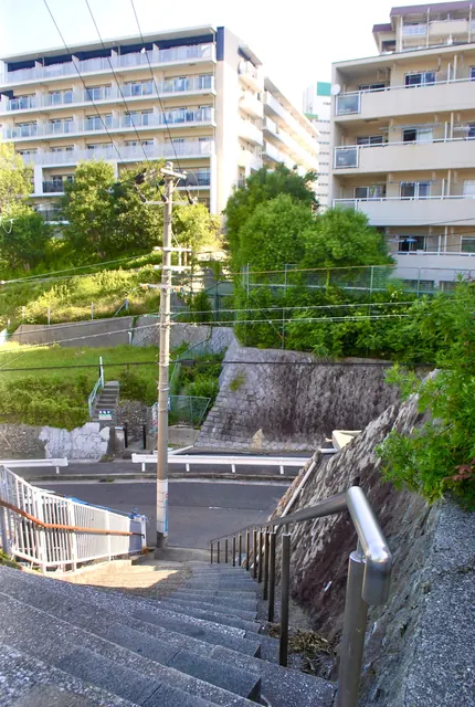 石段の上から、木々とマンションを見渡す風景