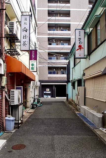 「酒処 向日葵」など、縦看板が並ぶ細い路地