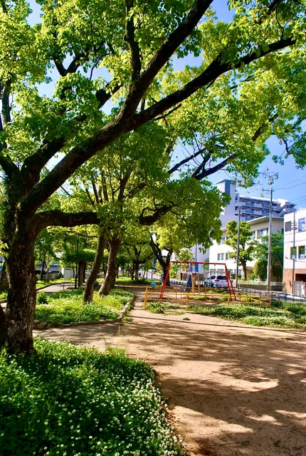 大きな木々の下の砂地の公園。奥にブランコが見える