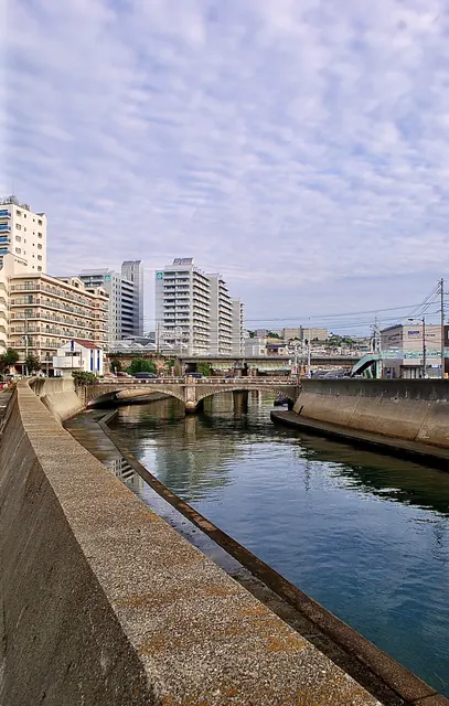 雲の広がる空の下、護岸に沿って流れる川と、その先の橋とマンション
