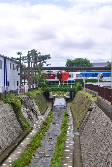 松の木の並ぶ川の向こうを、赤と青の阪神電車が走る風景