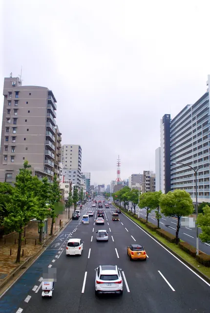 歩道橋の上から、並木と車の続く大通りを見下ろす風景