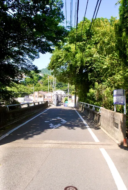 大きな木々に囲まれ、まっすぐ続く橋の道