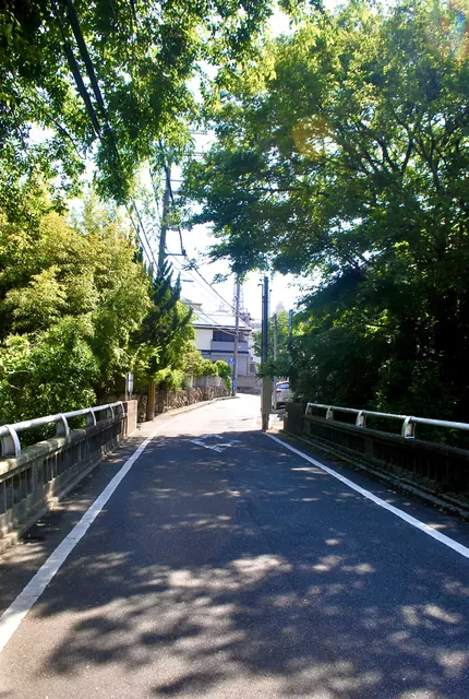 木々の影が落ちる、橋の上のまっすぐな道