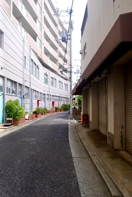 赤いレンガの花壇が並ぶ建物に沿って、カーブして続く道