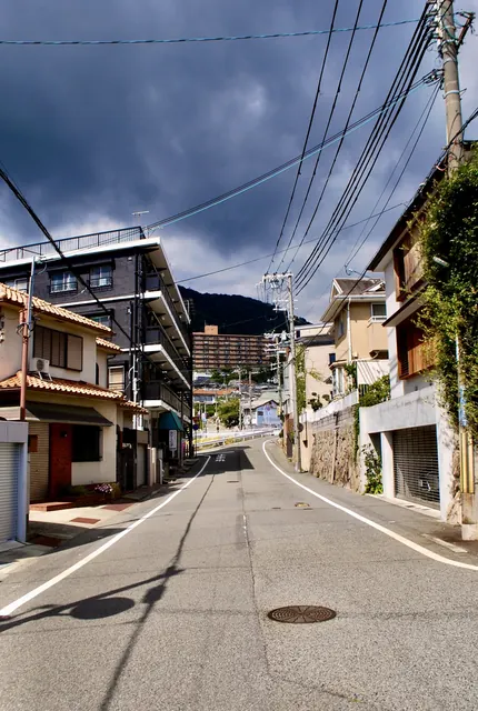 暗い雨雲の下、電線が幾重にも張られ、奥に山の見える通り