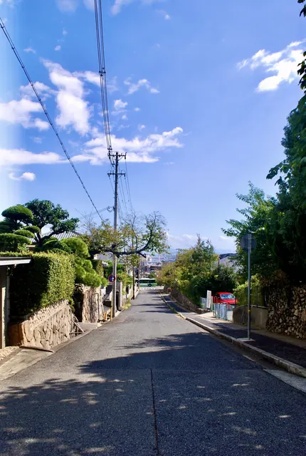 青空の下、石垣と木々のあいだを町へ下っていく坂道