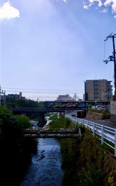 色鮮やかな模様の電車が、川に架かる鉄橋を渡る風景