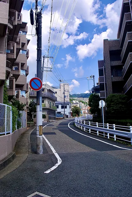 駐車禁止の標識の立つ電柱と、ゆるやかにカーブする坂道