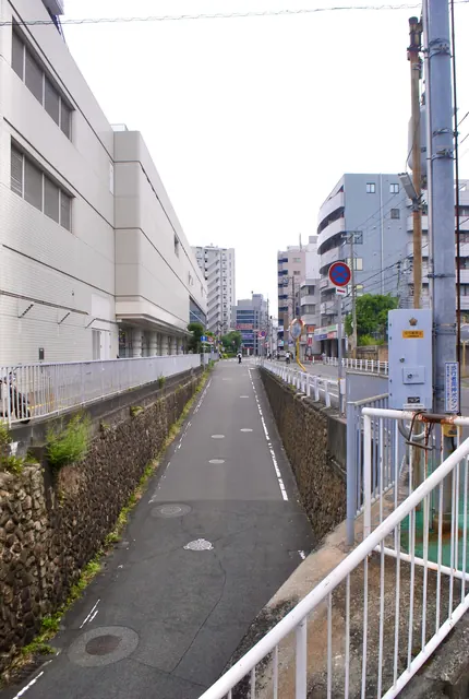 苔むした石垣と白い柵に沿って、まっすぐ続く道