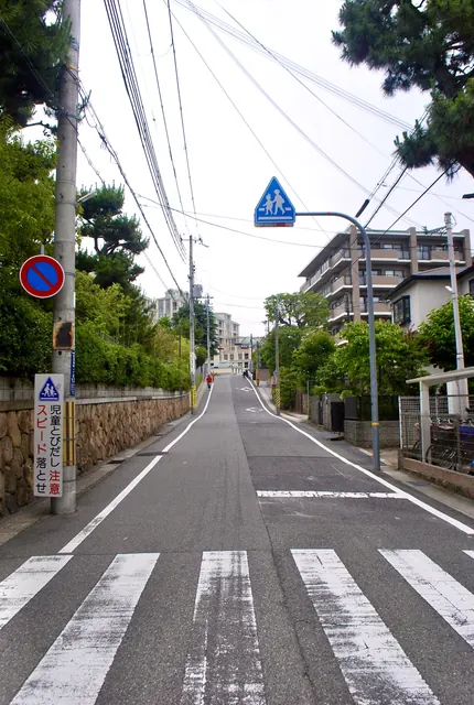 横断歩道の先に、松の木の並ぶ坂道がまっすぐ上る風景
