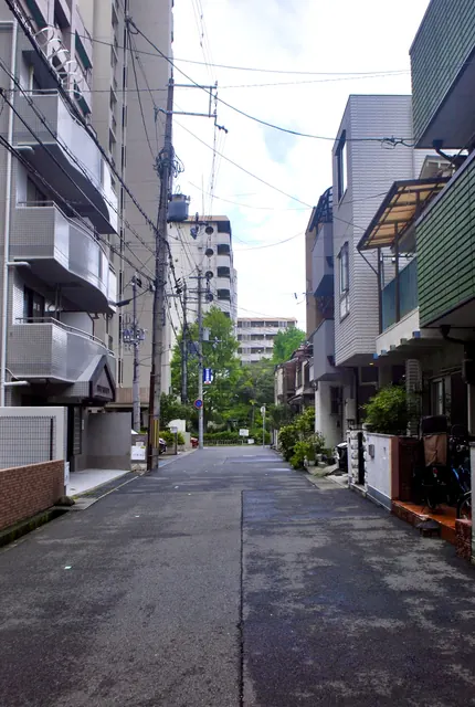 マンションと家々に挟まれ、奥の木々へ続く住宅街の道
