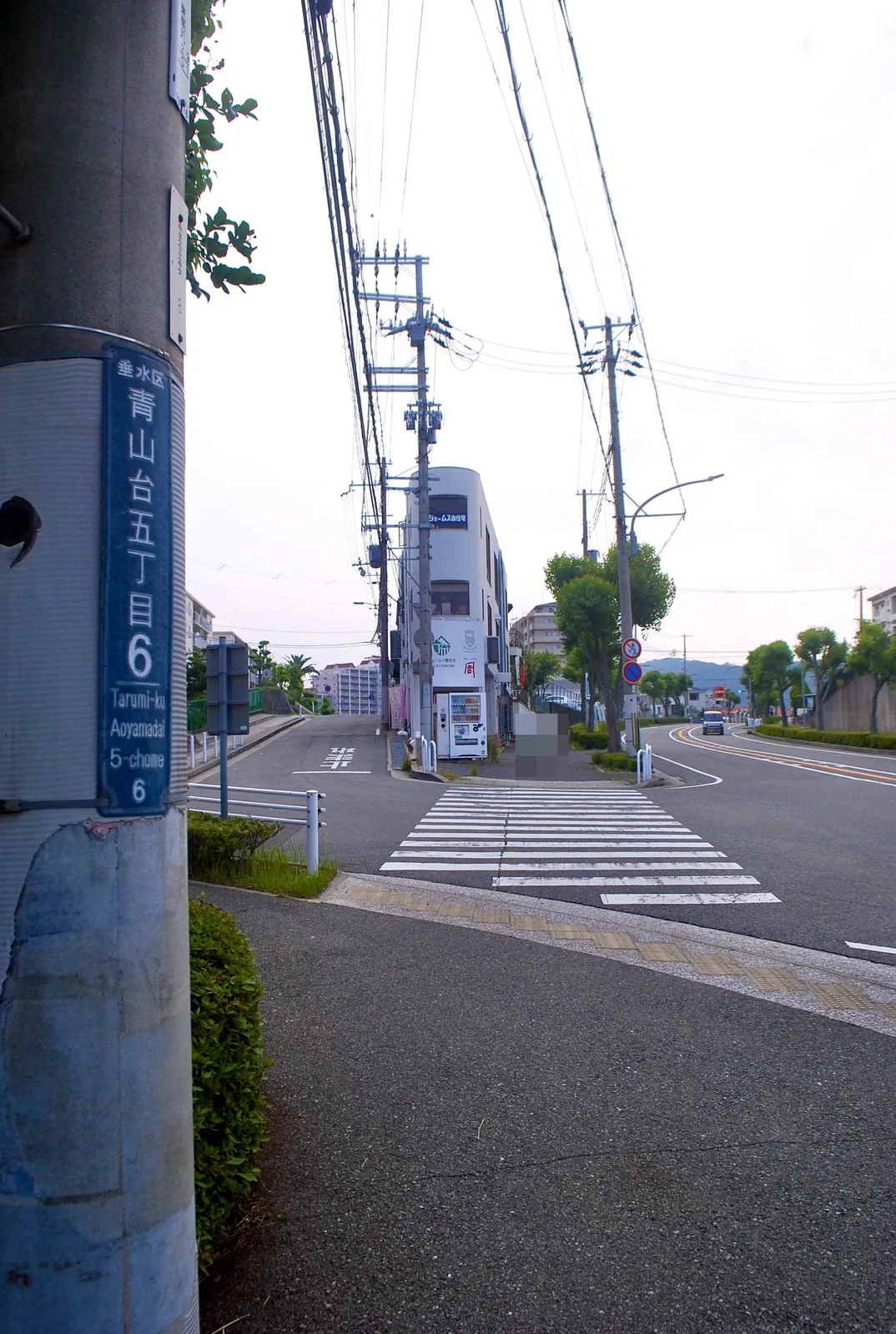 「青山台五丁目」の電柱の先に、横断歩道と並木のある交差点