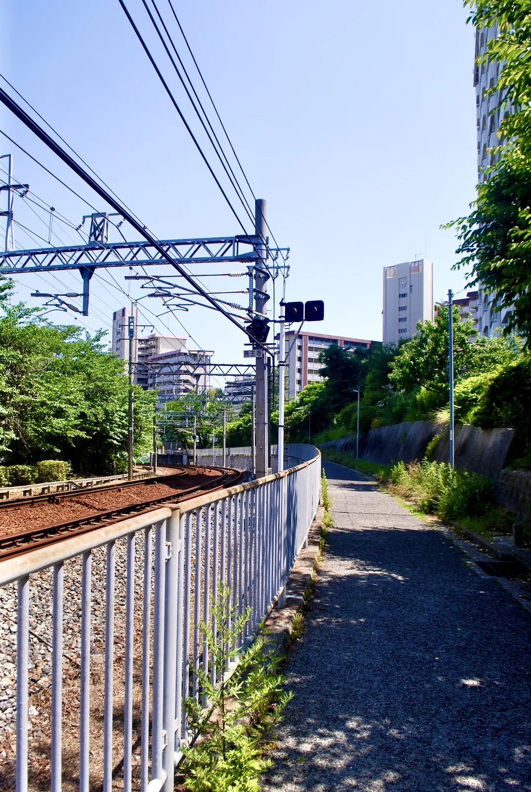線路のフェンスに沿って続く、緑の茂る細い道