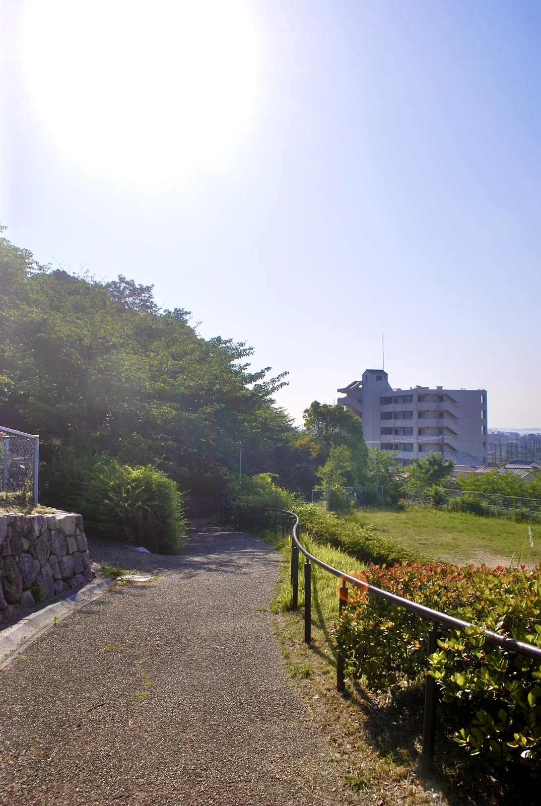 緑の茂る公園の小道の先に、マンションが見える風景