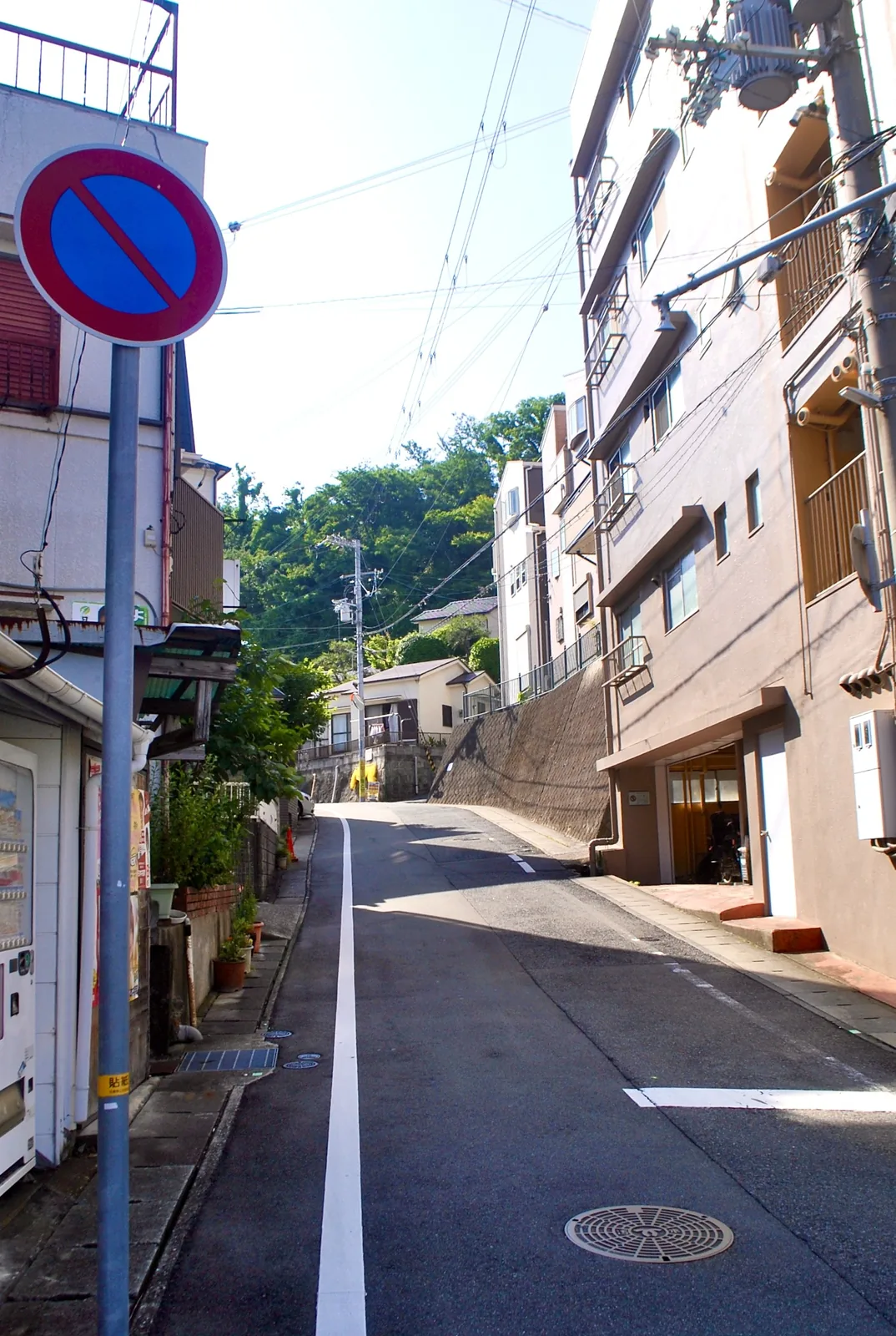 駐車禁止の標識の先に、緑の山へ向かって上る坂道