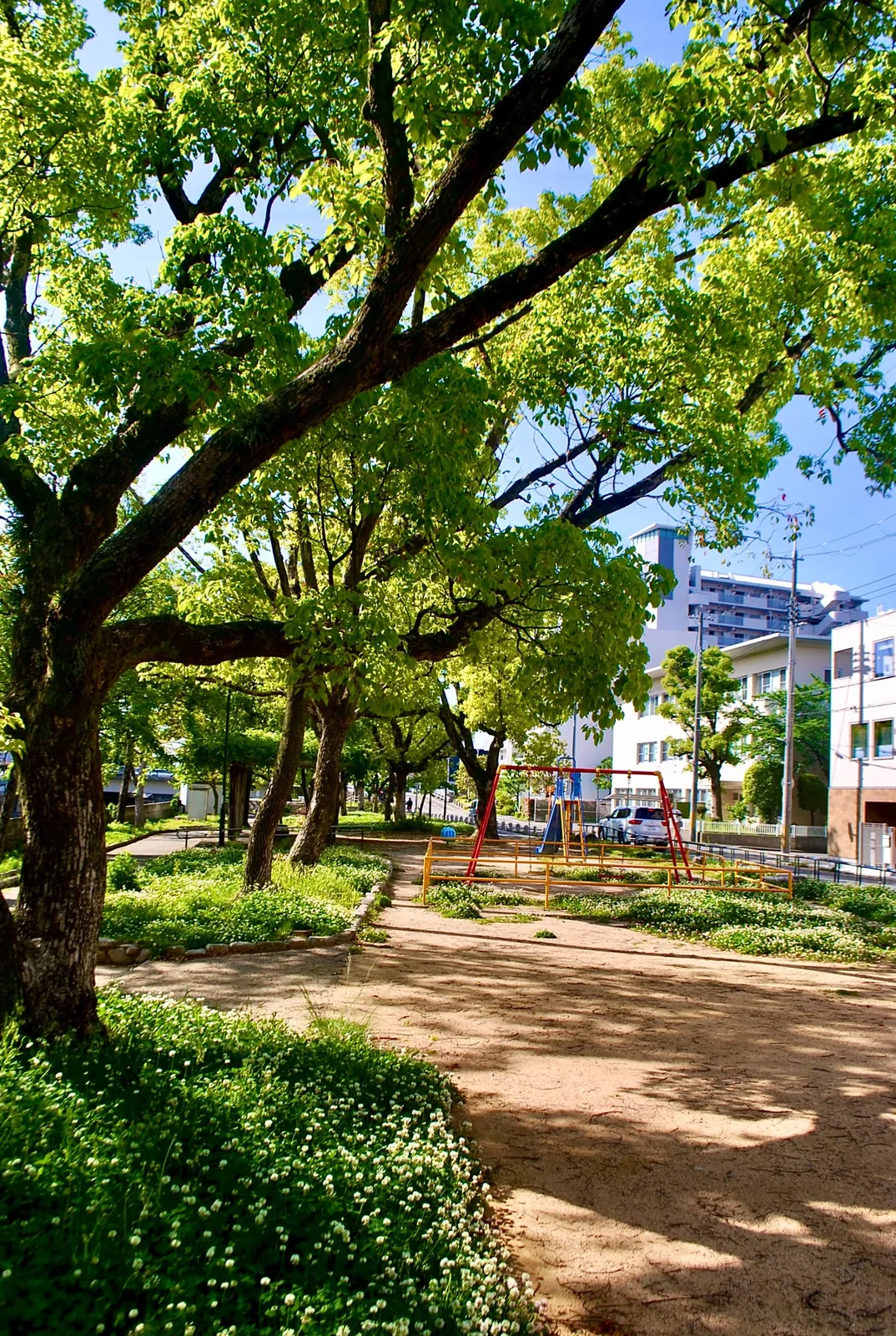 大きな木々の下の砂地の公園。奥にブランコが見える