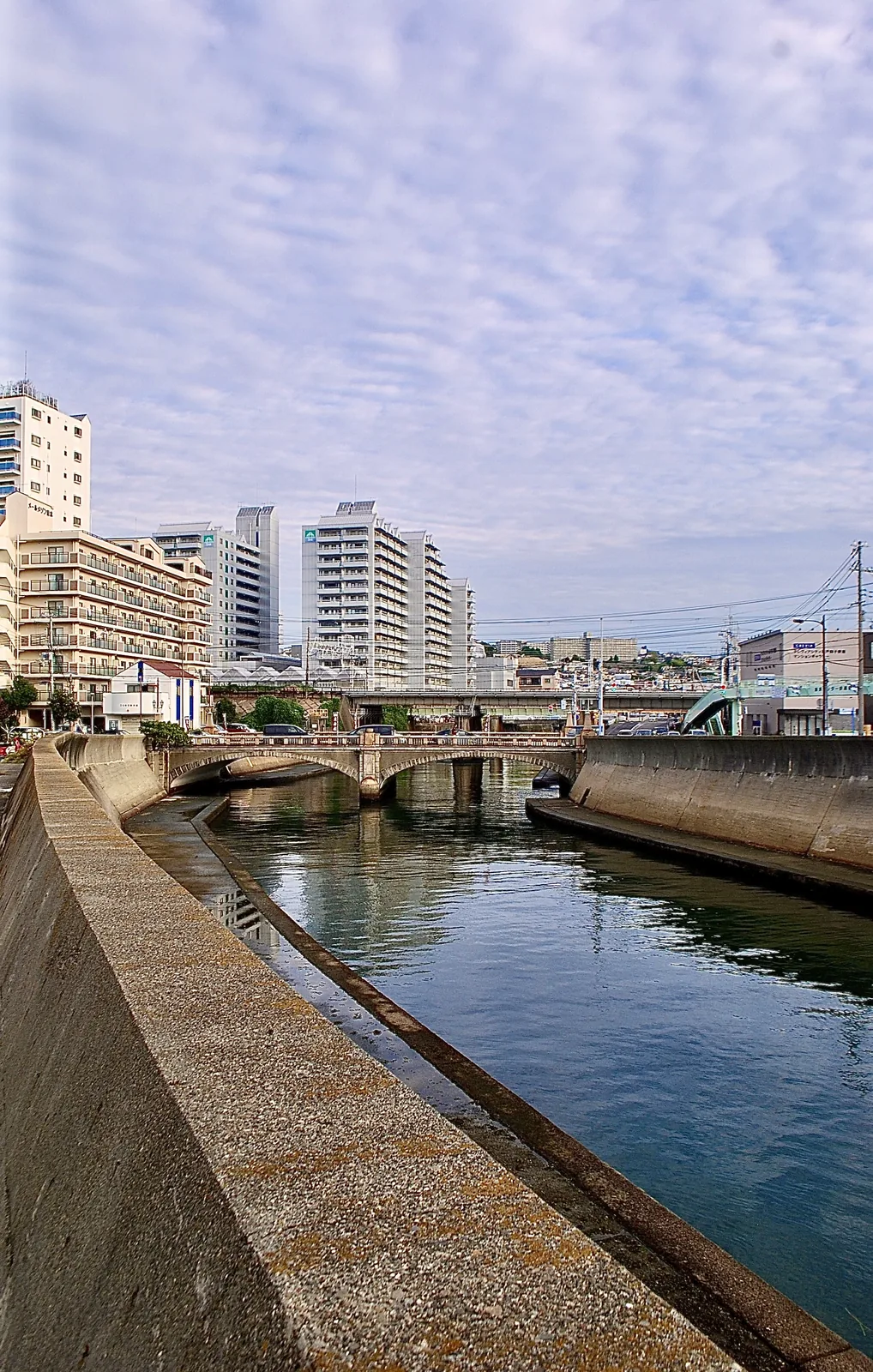 雲の広がる空の下、護岸に沿って流れる川と、その先の橋とマンション