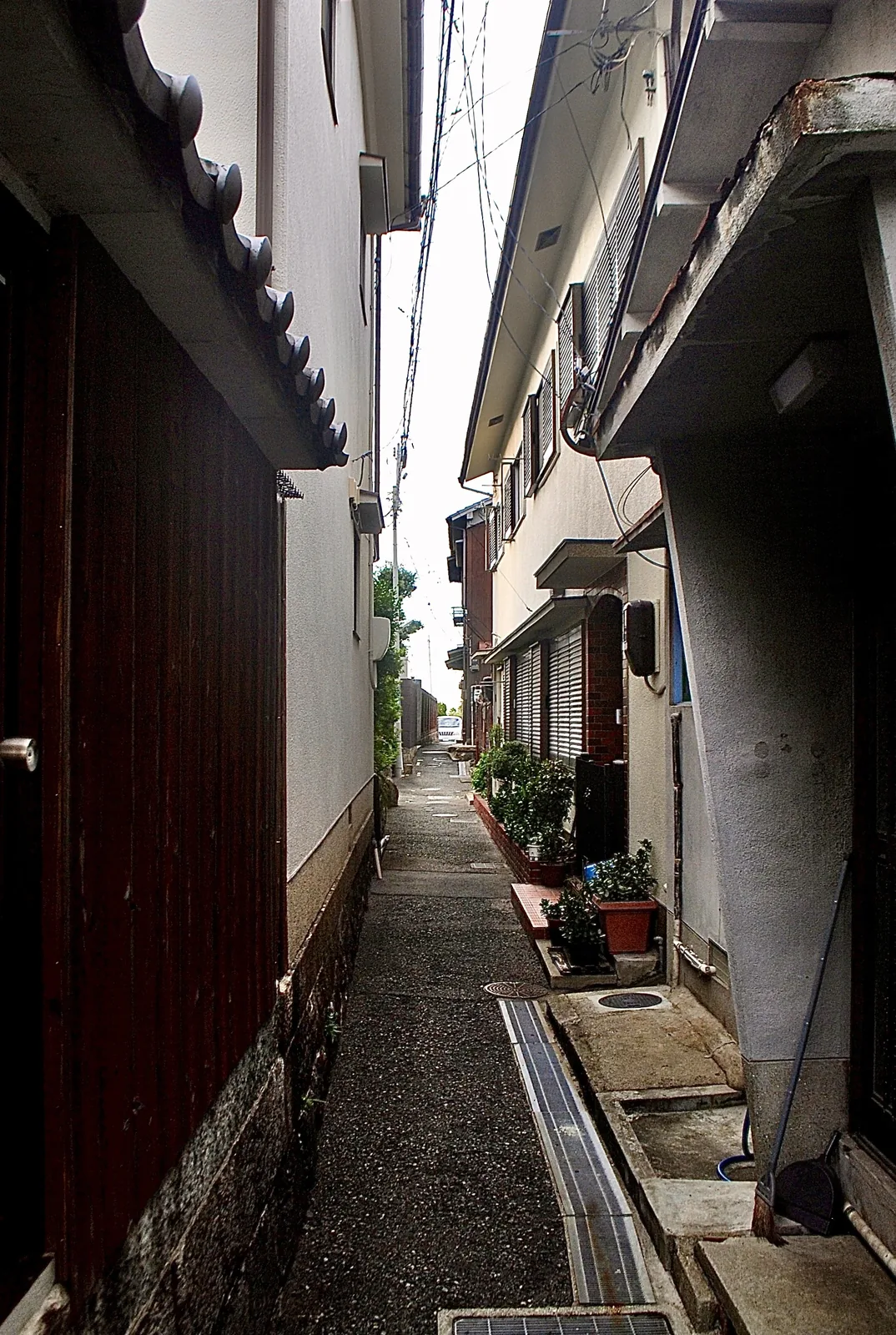 古い家々のあいだに、植木鉢が並ぶ細い路地