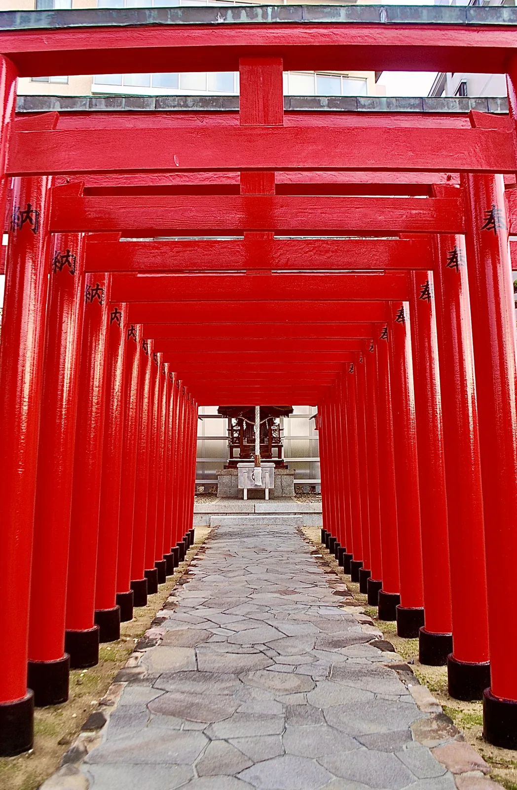朱色の鳥居がいくつも並び、奥のお社へ続く石畳の参道