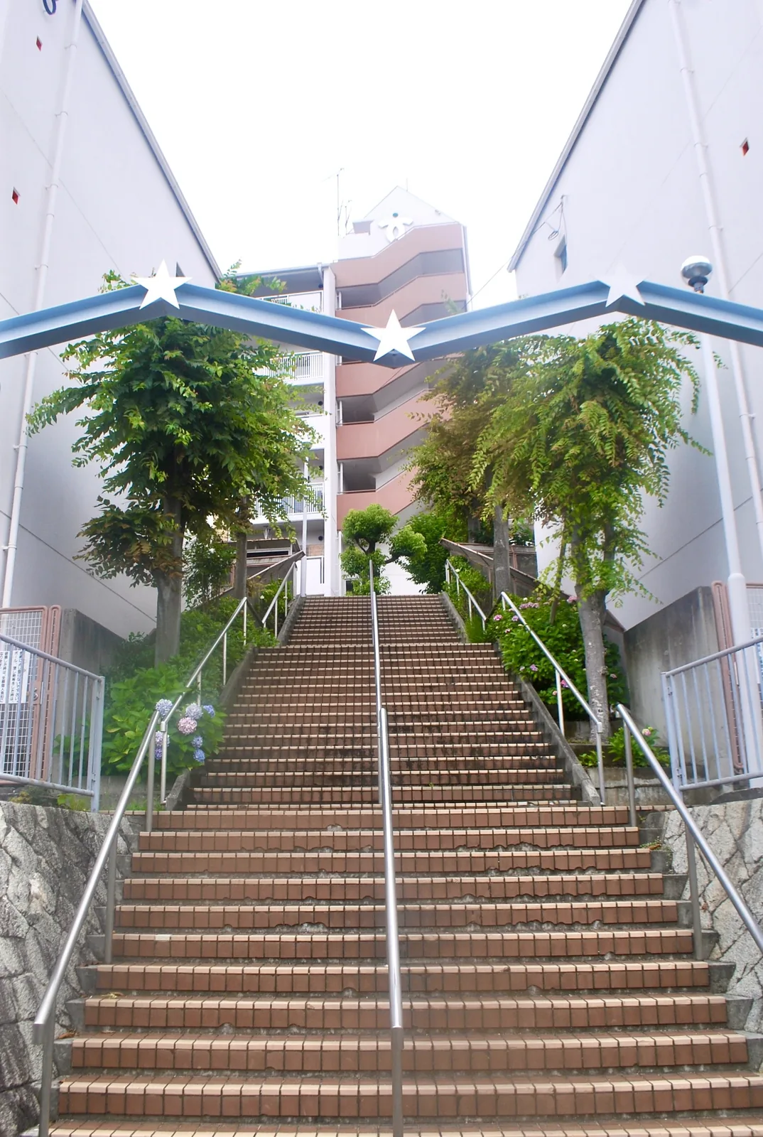 木々とあじさいに囲まれ、マンションへ上っていく長い階段