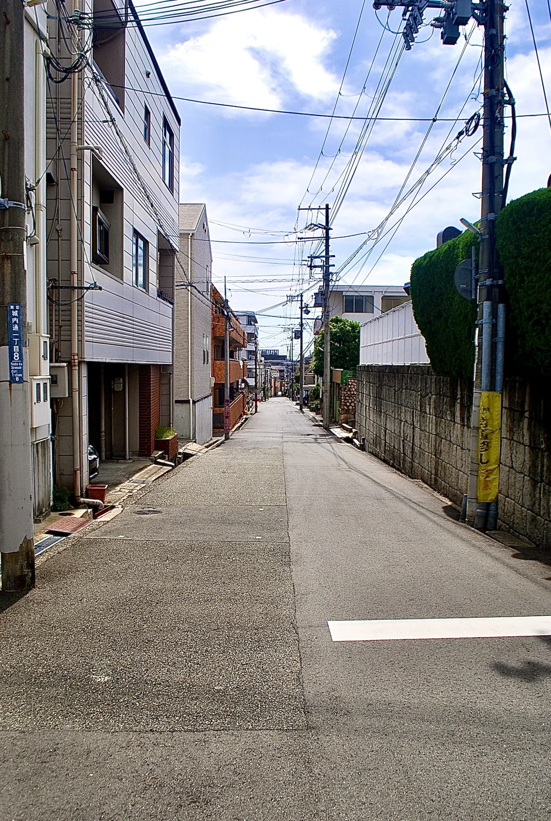 白い線の引かれた、遠くまでまっすぐな住宅街の道