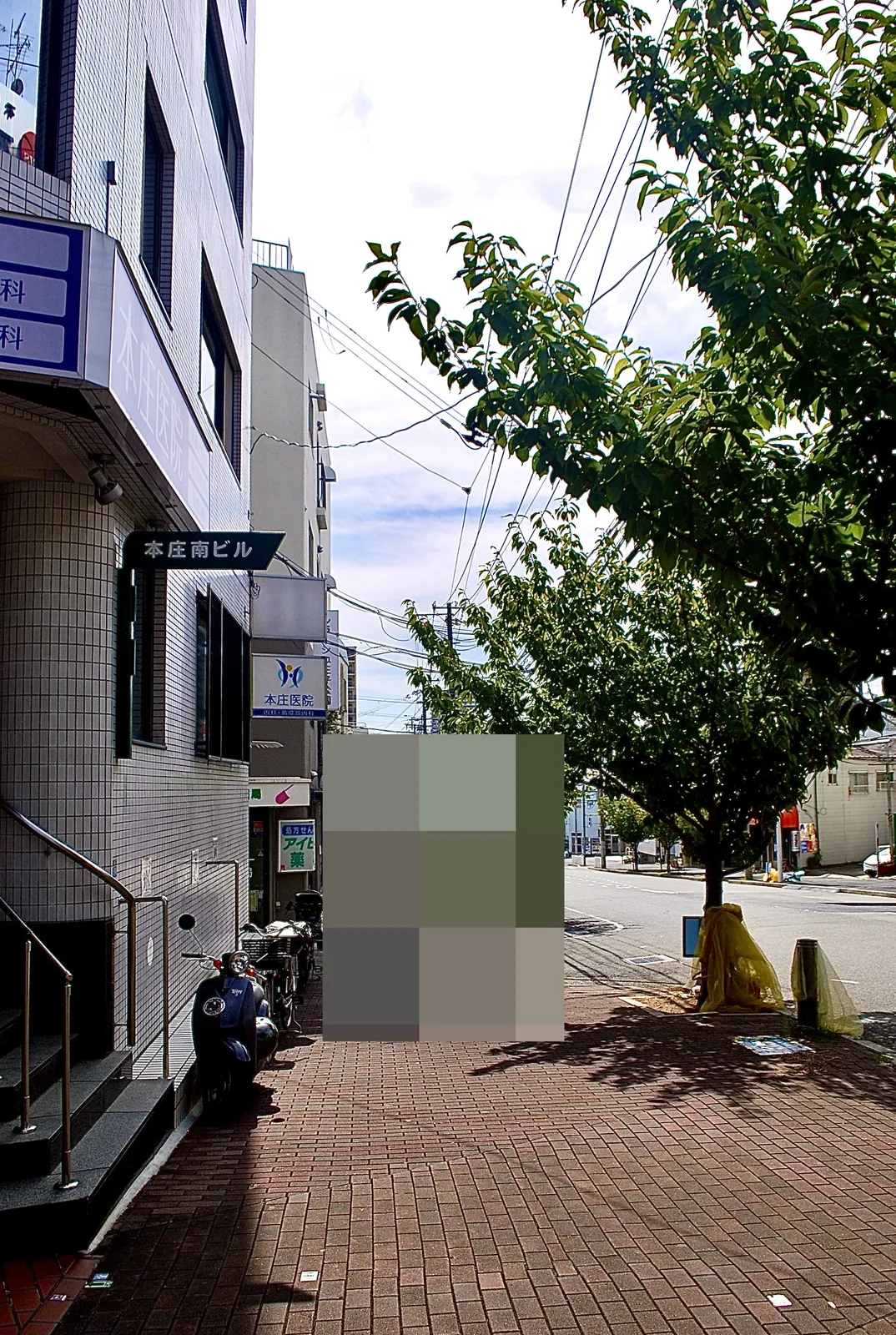 レンガ敷きの歩道と、並木の続く大通り