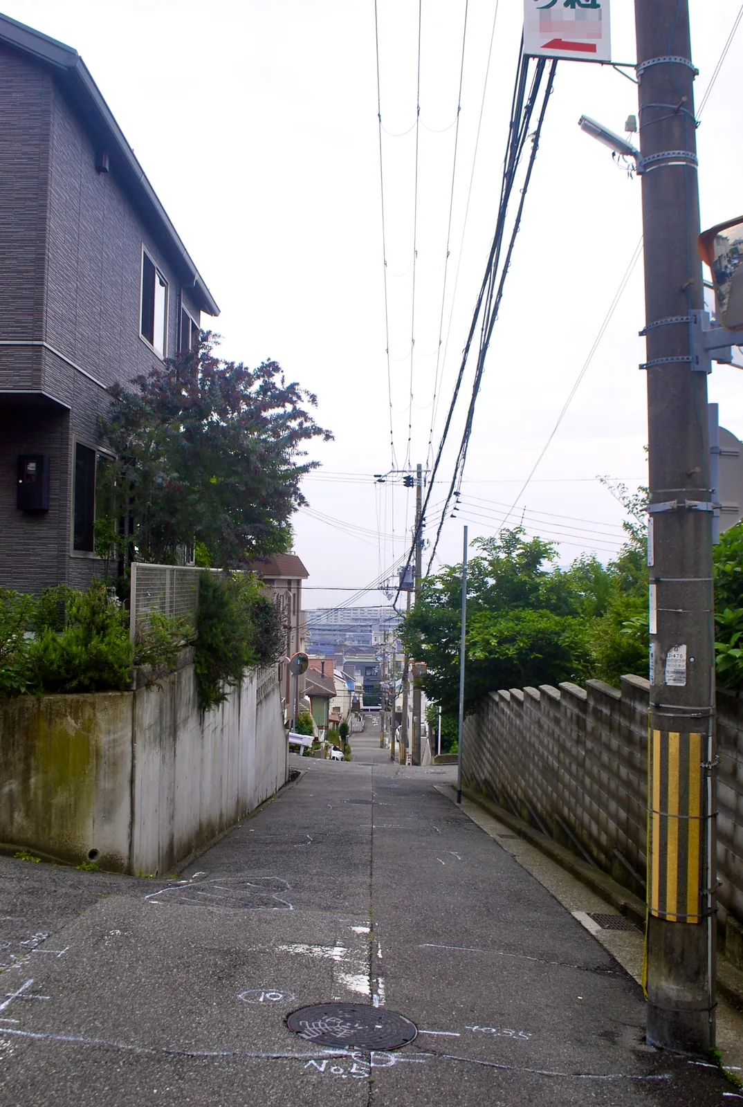 石垣と塀に挟まれ、遠くの町並みへ下っていく坂道