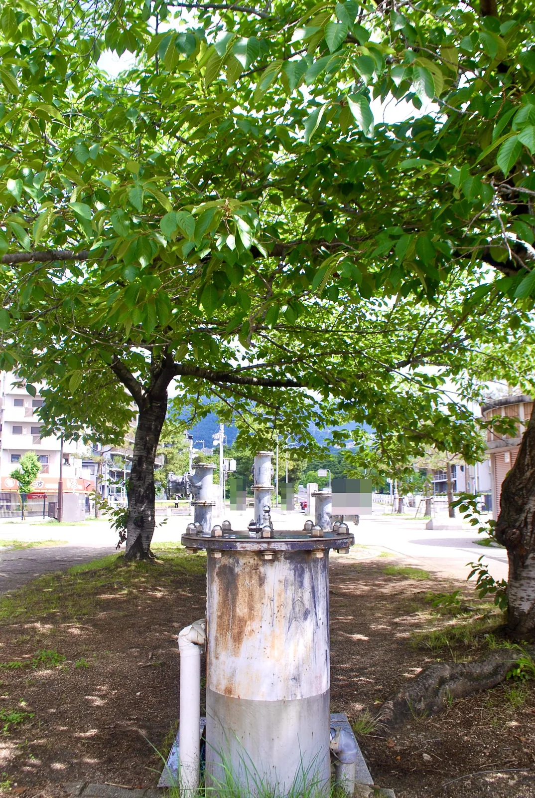 大きな木の陰に、古い給水設備が残る公園の一角
