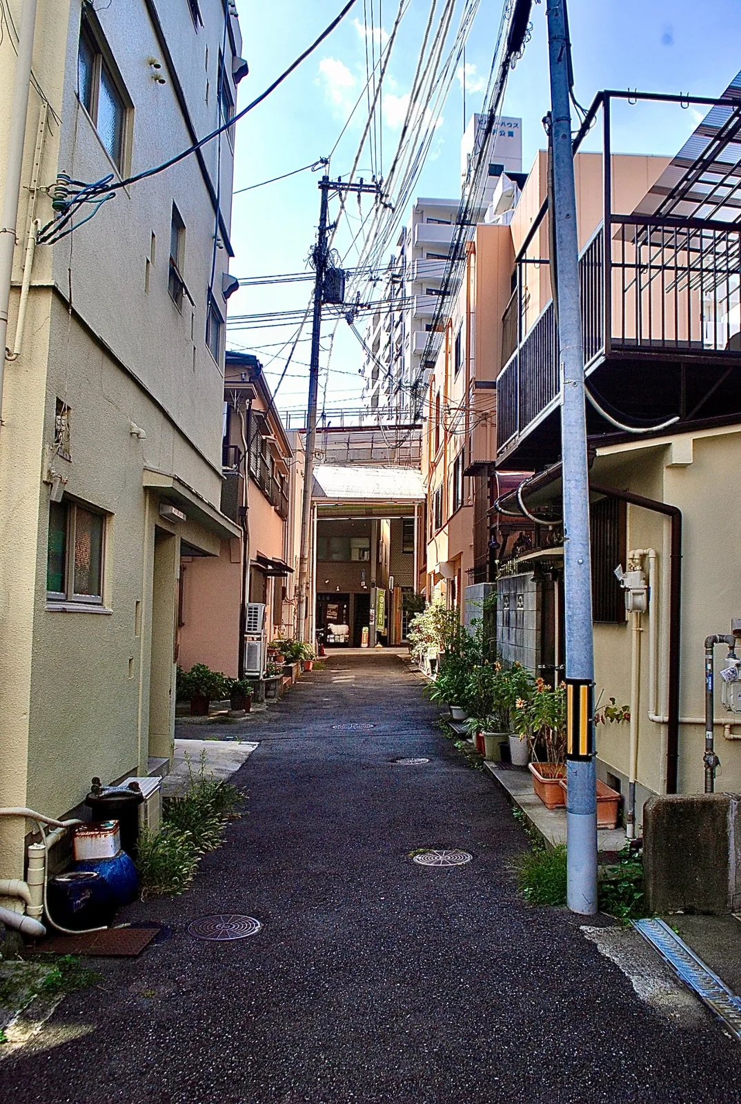 電柱と植木鉢が並ぶ、奥に建物が見える細い路地
