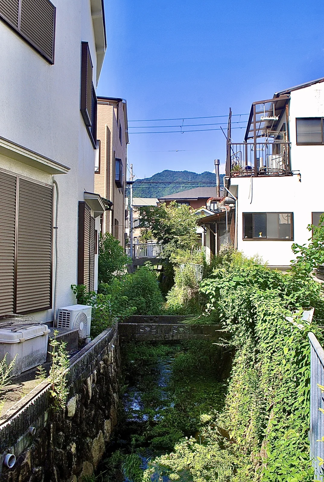 家と家のあいだを流れる緑の茂る水路と、奥に見える山並み