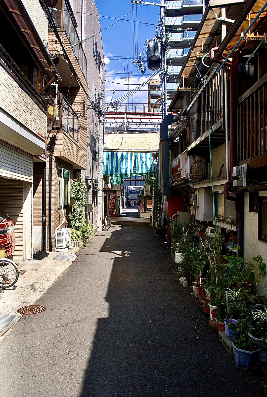 植木鉢が並ぶ路地の奥に、縞模様の日よけが見える風景