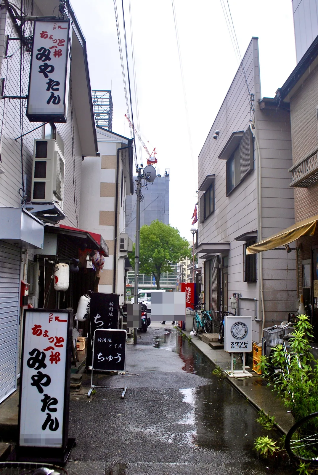 赤提灯と立て看板が並ぶ、居酒屋の多い細い路地