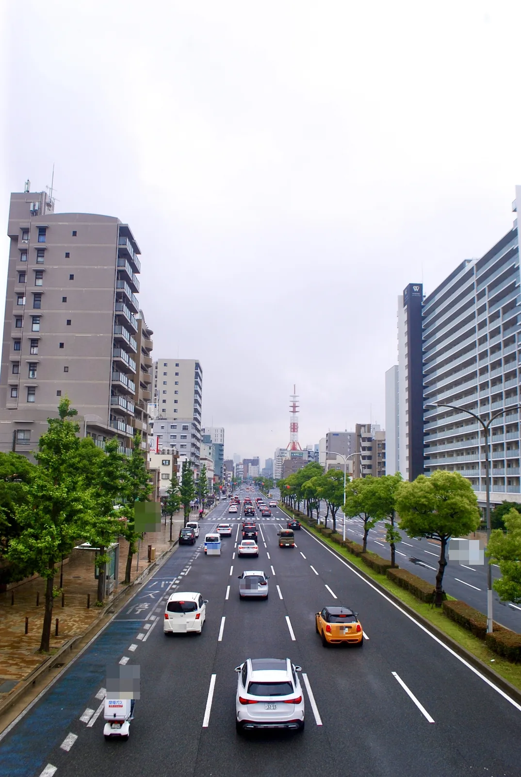 歩道橋の上から、並木と車の続く大通りを見下ろす風景