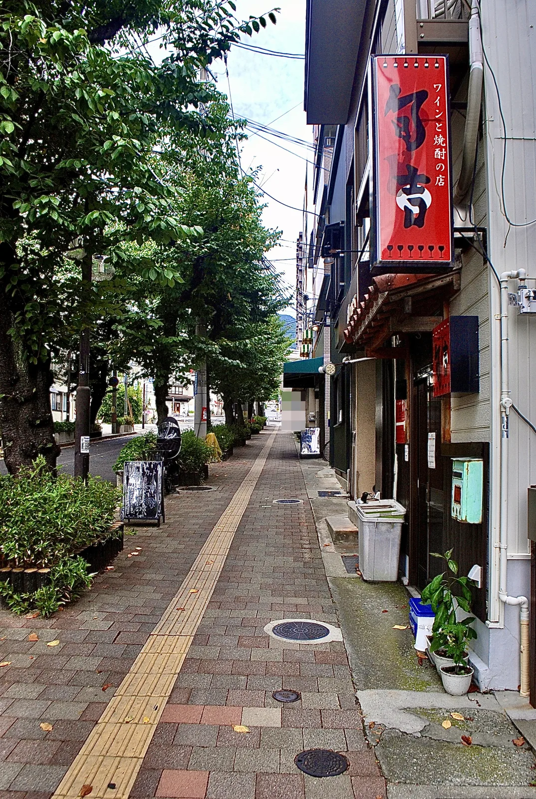 並木と植え込みのあいだを、点字ブロックの続く歩道