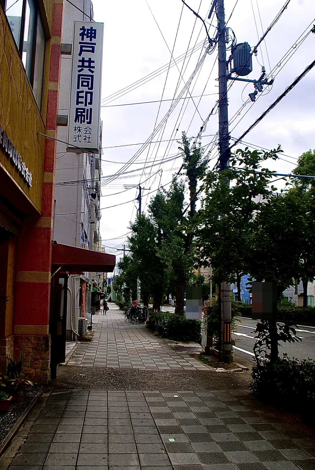 「神戸共同印刷」の看板と、並木の続く広い歩道