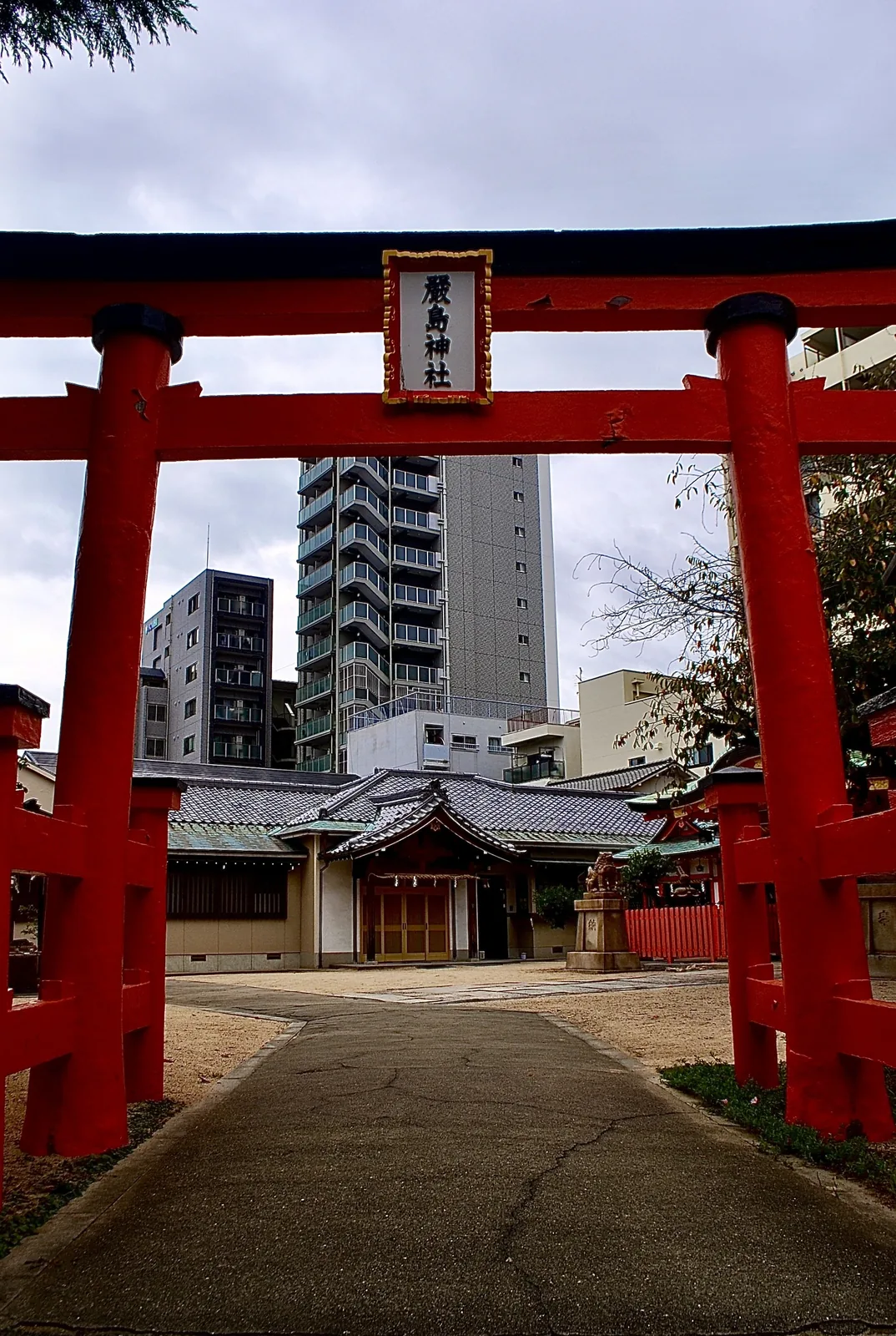 朱色の鳥居の先に、境内と社殿が見える神社