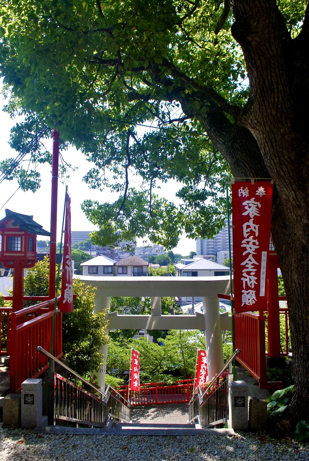 木々に囲まれた境内から、鳥居と町並みを見る風景