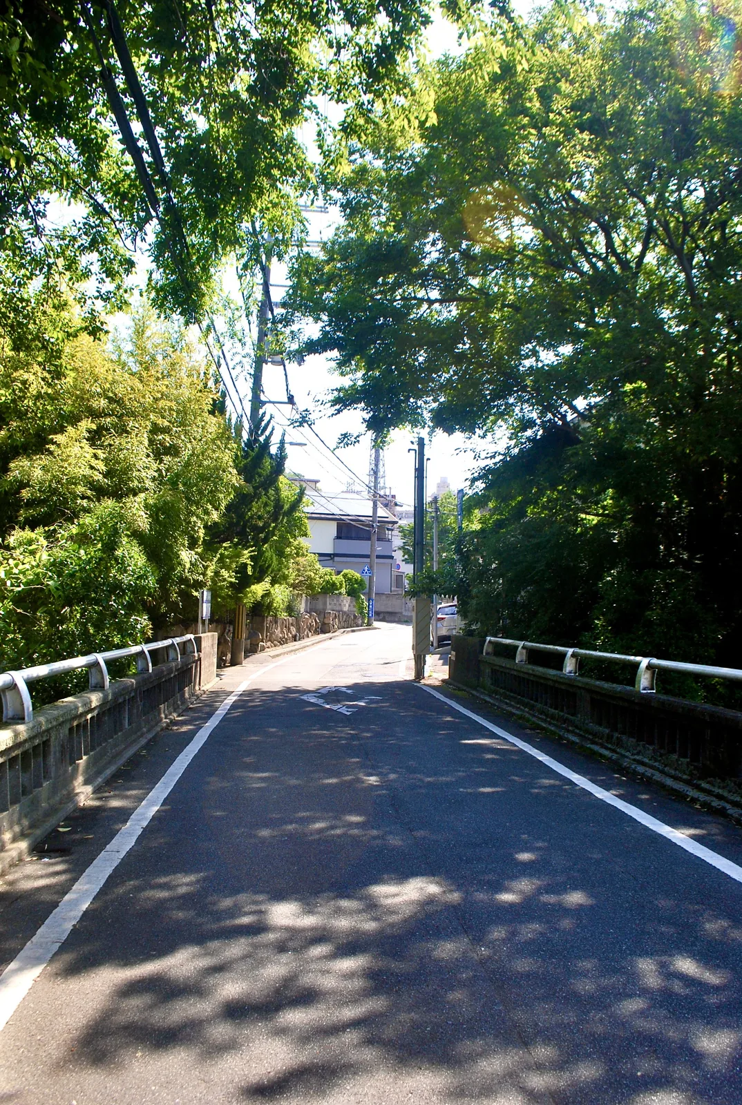木々の影が落ちる、橋の上のまっすぐな道