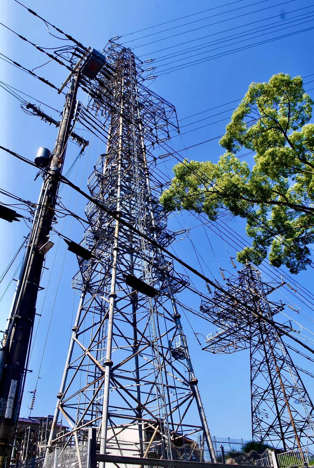 濃い青空の下、電線を張りめぐらせた鉄塔を見上げる風景