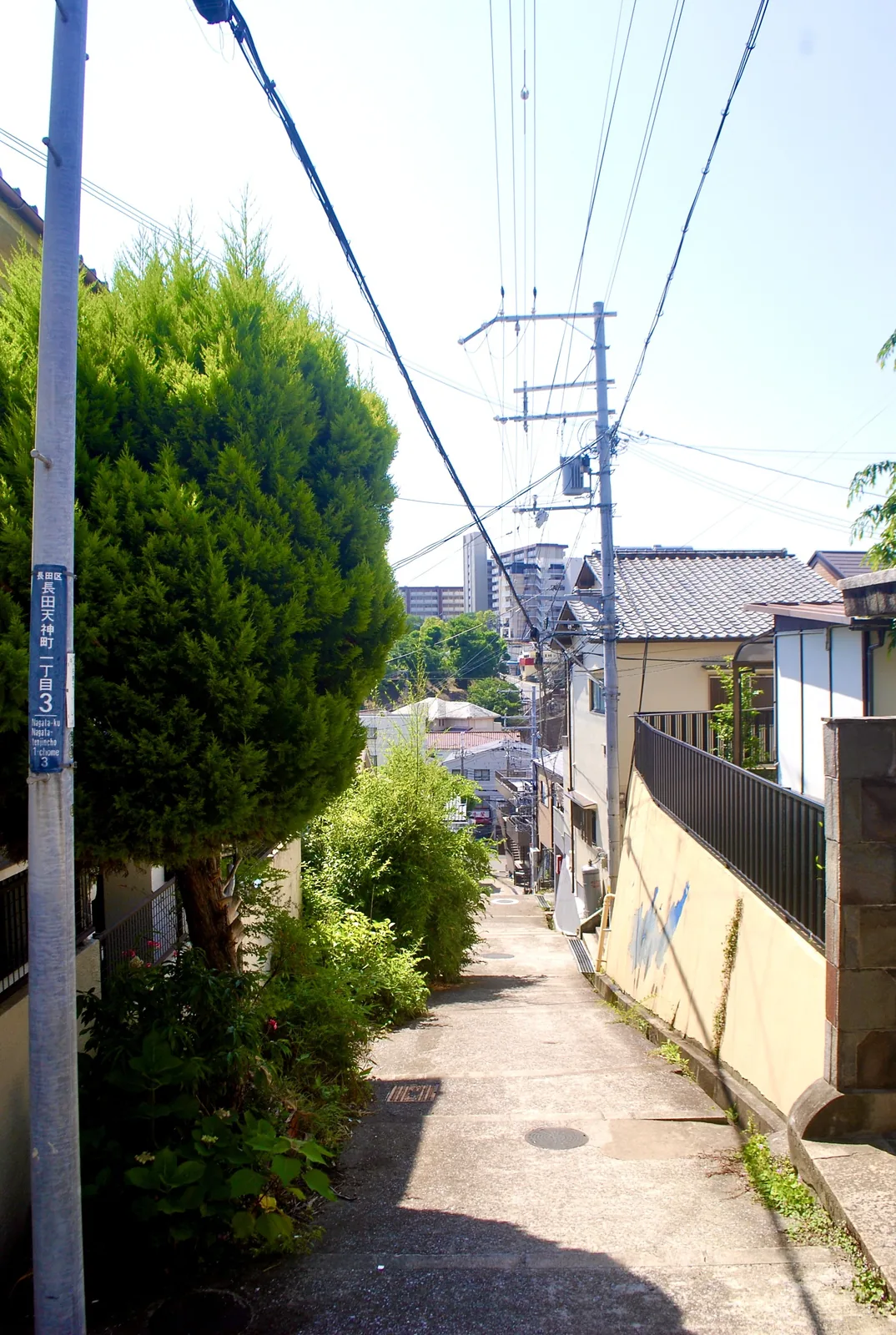 大きな木の脇を、団地の見える方へ下る坂の路地