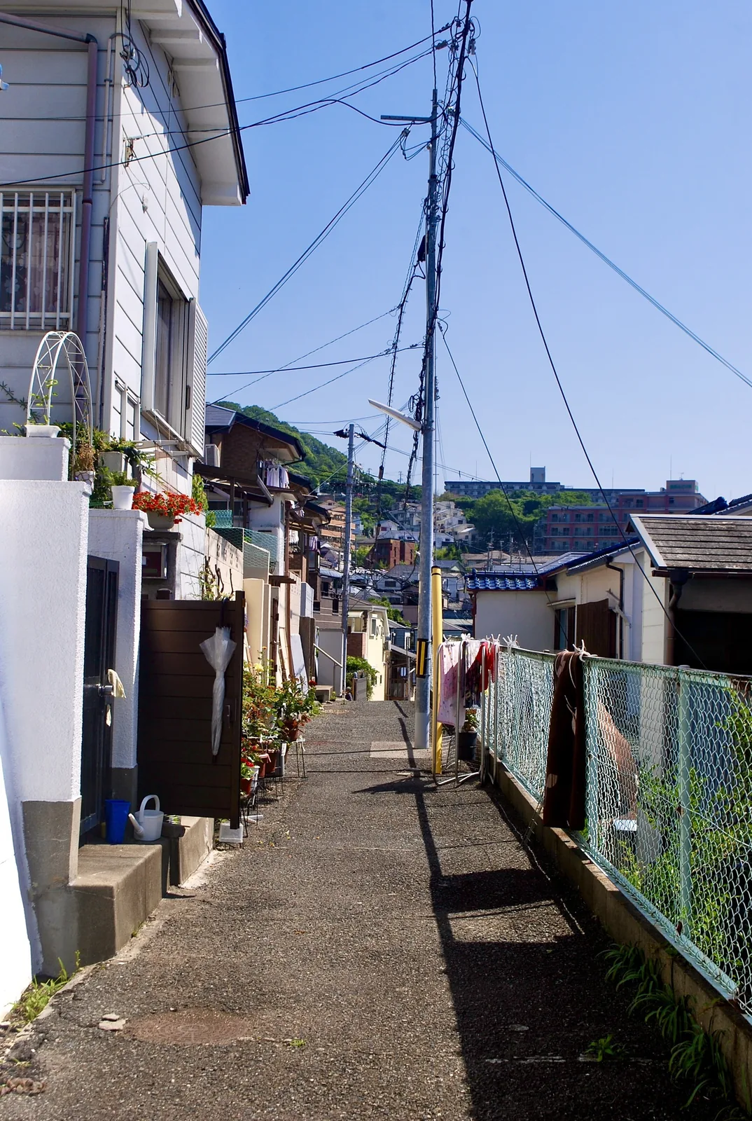 家々とフェンスのあいだを、奥へ続く細い路地