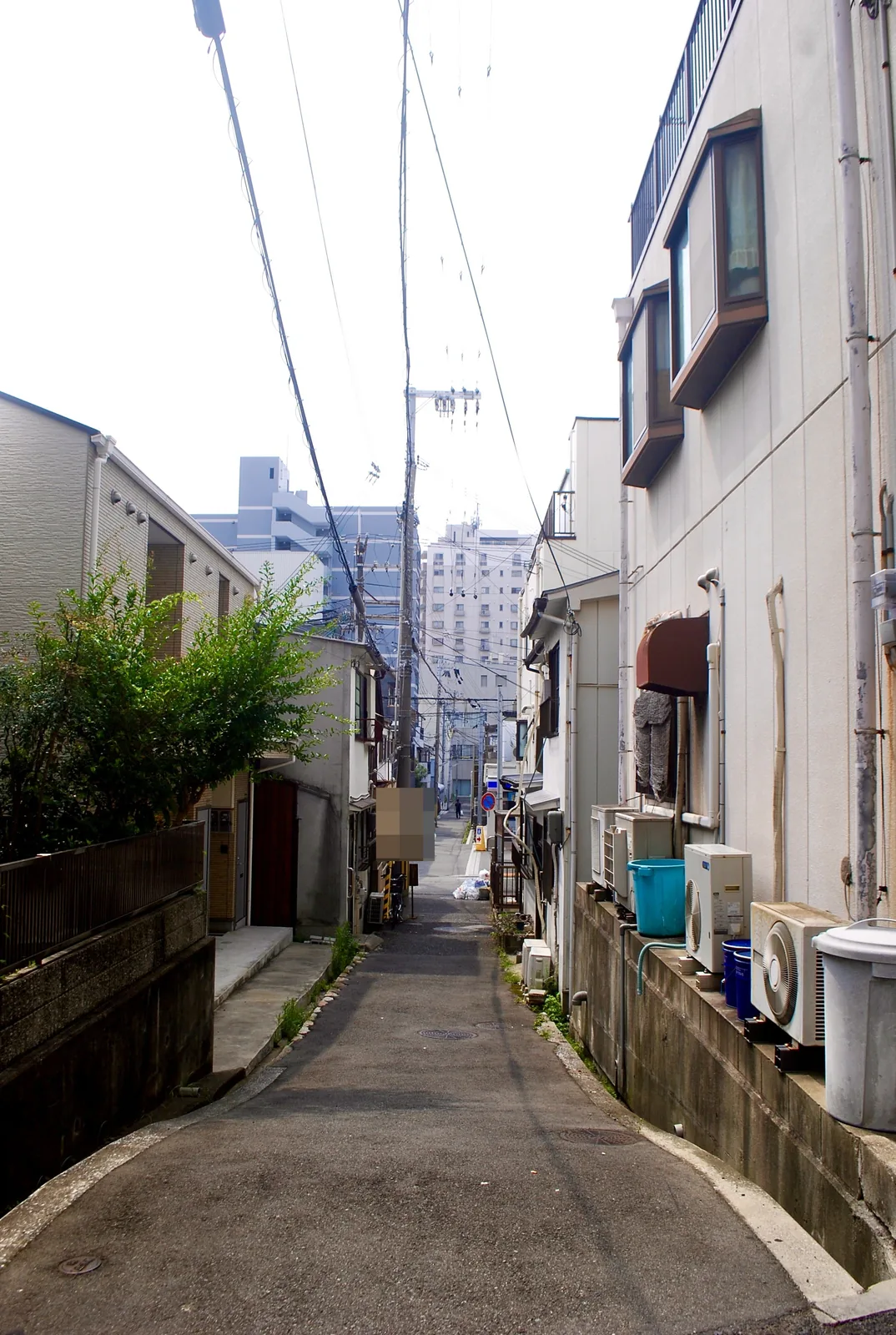 木の茂る家とエアコンの並ぶ壁のあいだを、奥へ続く細い道