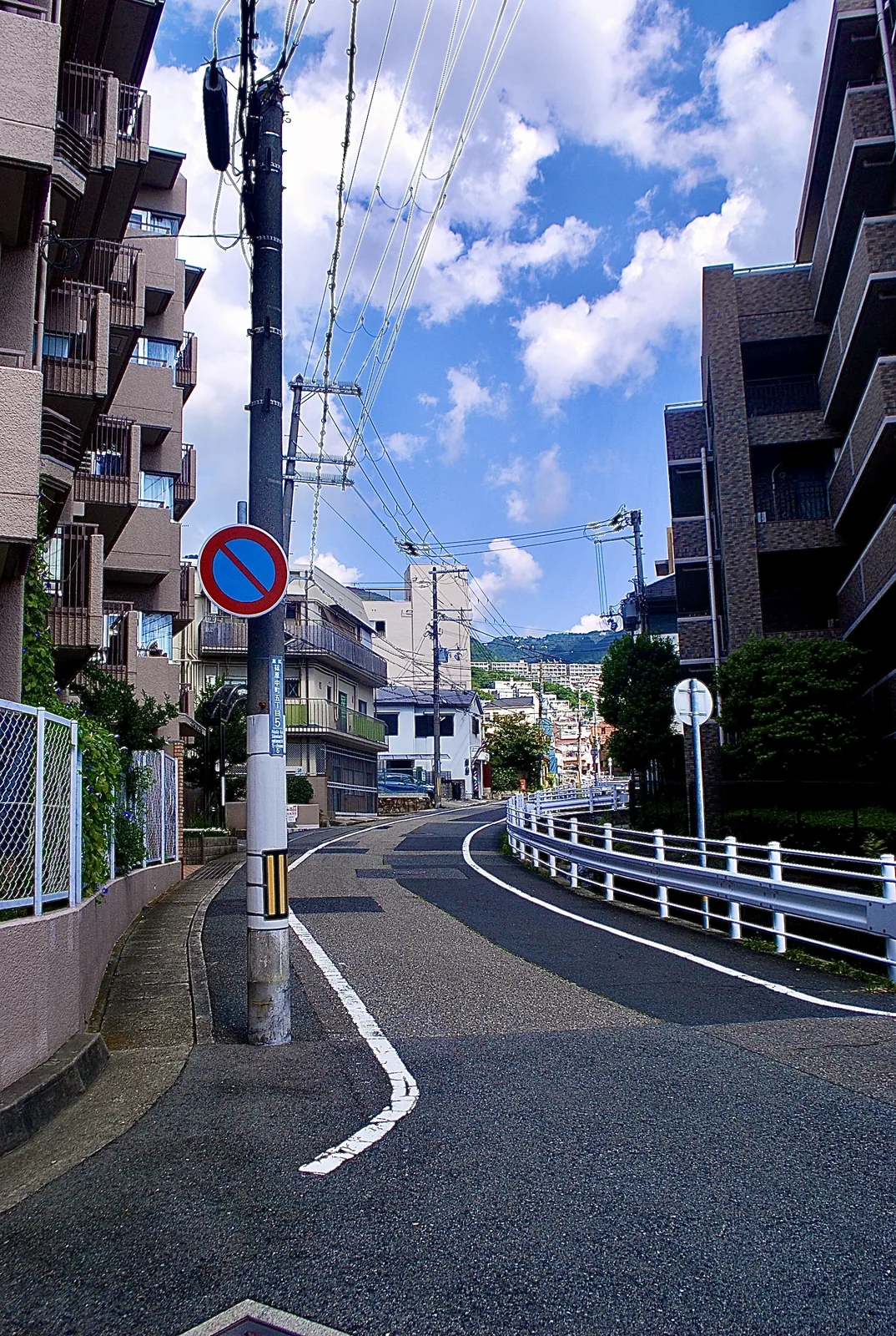 駐車禁止の標識の立つ電柱と、ゆるやかにカーブする坂道