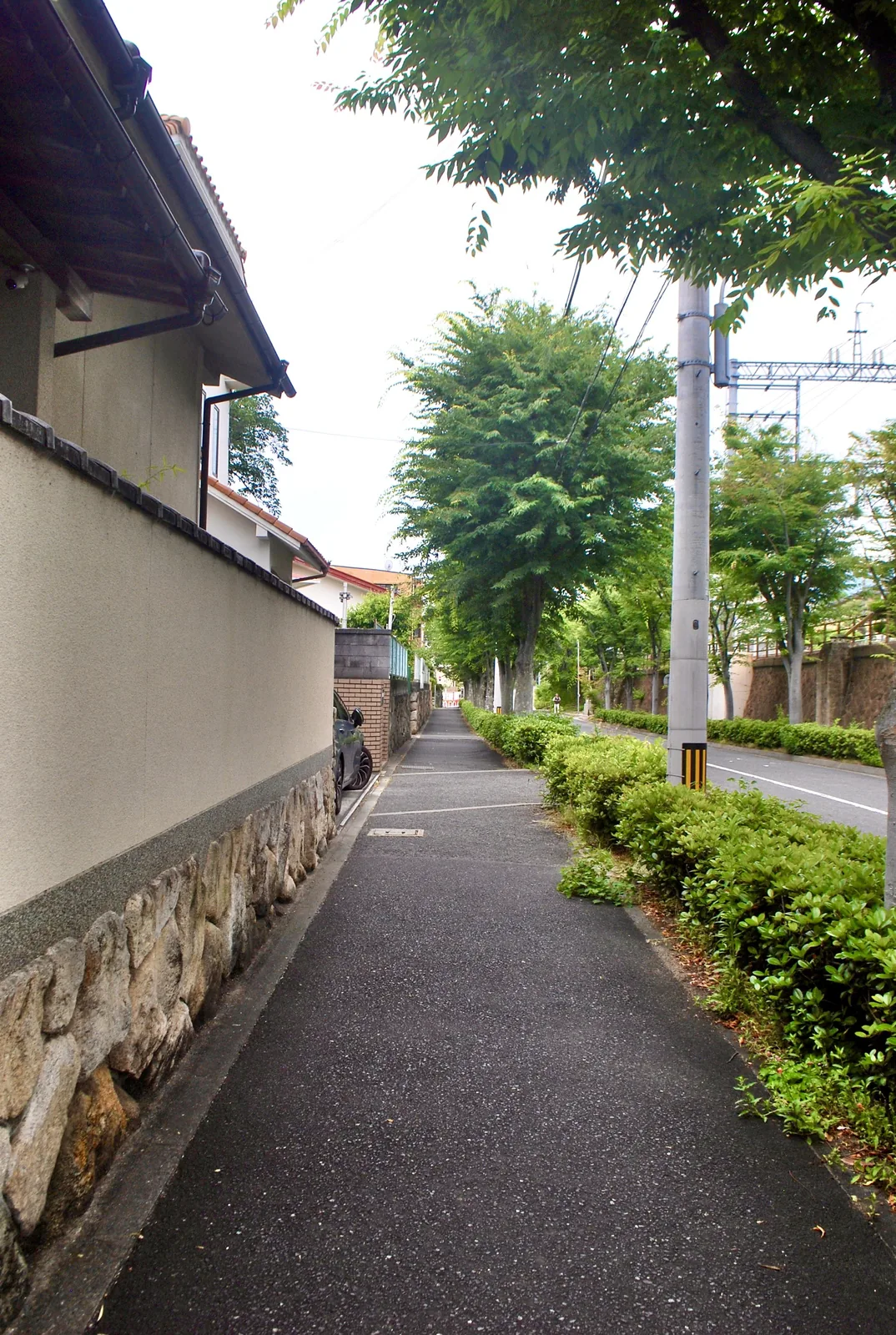 石垣の塀と植え込みに挟まれ、奥へ続く細い道